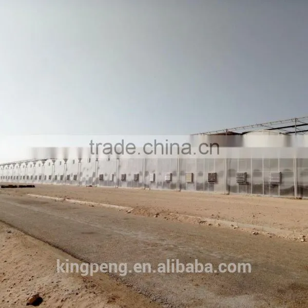 Greenhouse Hot Galvanized Steel Skeleton photo-3