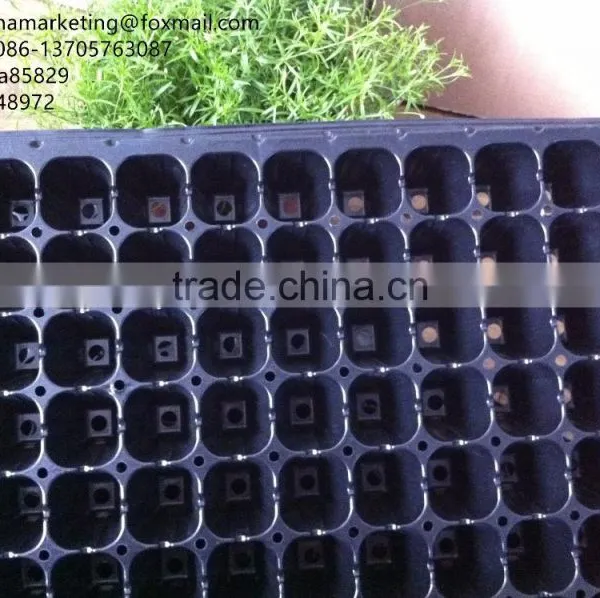 Black PS Material 105 Cells Blister Process Plastic Plant Nursery Seed Plug Trays for Propagation photo-4