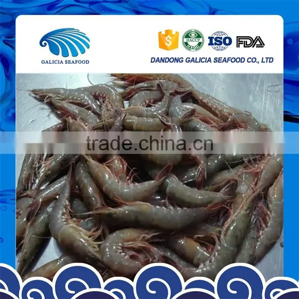 Frozen Penaeus Vannamei Shrimp With Good Exporters