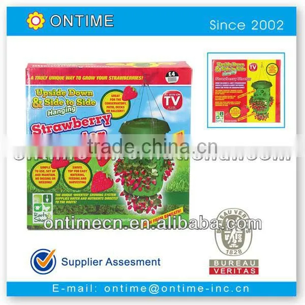 Strawberry Plastic Planter