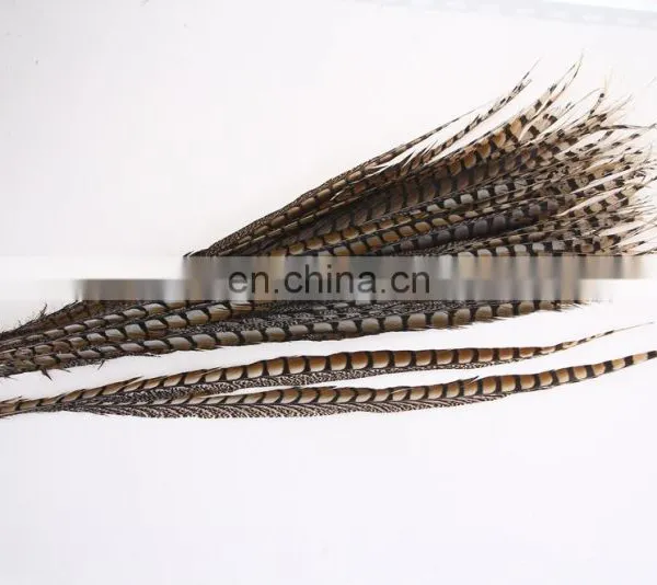Best Quality 30-40cm Pheasant Feather photo-3