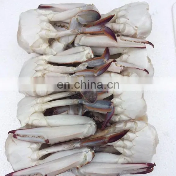 Wholesale Frozen Cut Blue Swimming Crab for Market photo-2