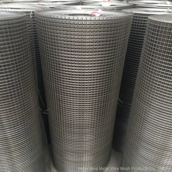 Cheap 1x1 Galvanized Welded Wire Mesh for Pets Bird Quail Rabbit Cage photo-2