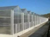 10mm PC Sheet Commercial Greenhouse for Hydroponic Farming photo-5