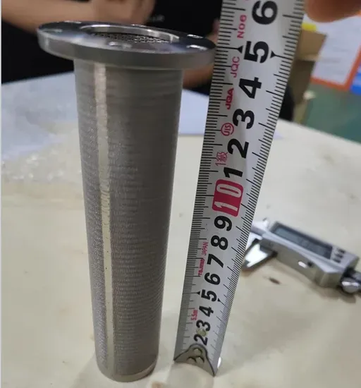 304/316L Stainless Steel Wire Mesh Strainer | Filter Basket & Demister Disc | Filtration Equipment & Parts Supplier photo-5
