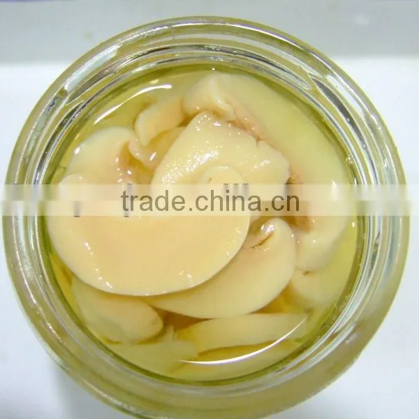 Mushroom in Brine in Drum photo-3