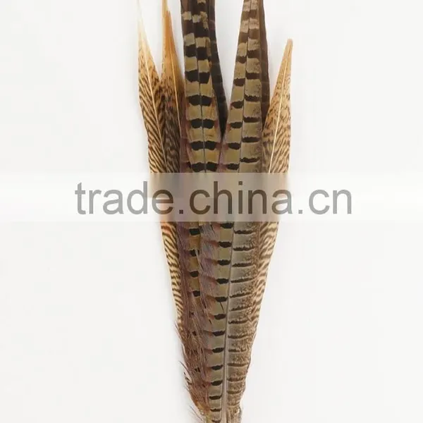 Carnival Decoration Pheasant Tail Feather, Colour Ostrich Feather Wholesale photo-3