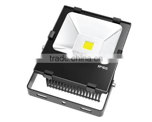 Outdoor Waterproof 50w LED Flood Light With Meanwell Driver Quality Choice photo-3