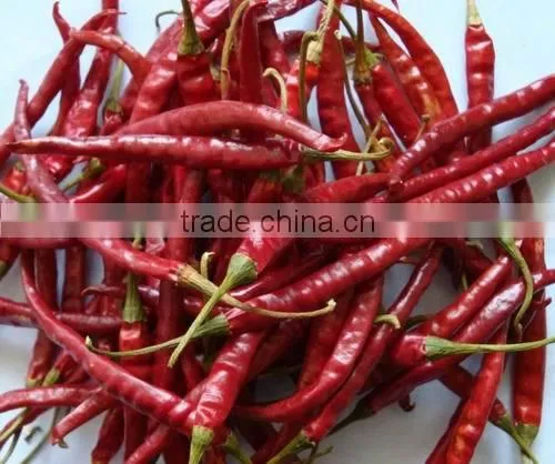 Dried Xian Chilli photo-3