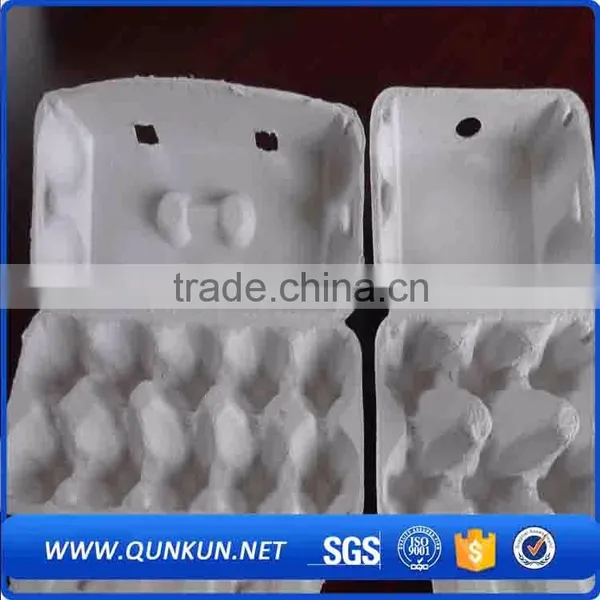 Buy Now Quail Eggs Tray Packing photo-5