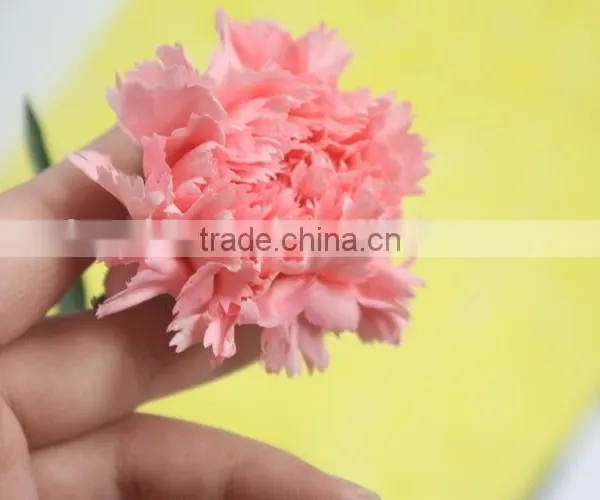 Exquisite Factory Direct Flower Head Carnation photo-3