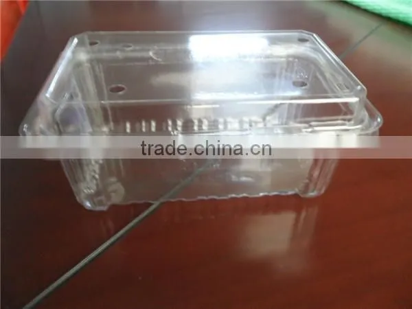 PET Plastic Transparent Boxes for Packing Strawberry photo-5