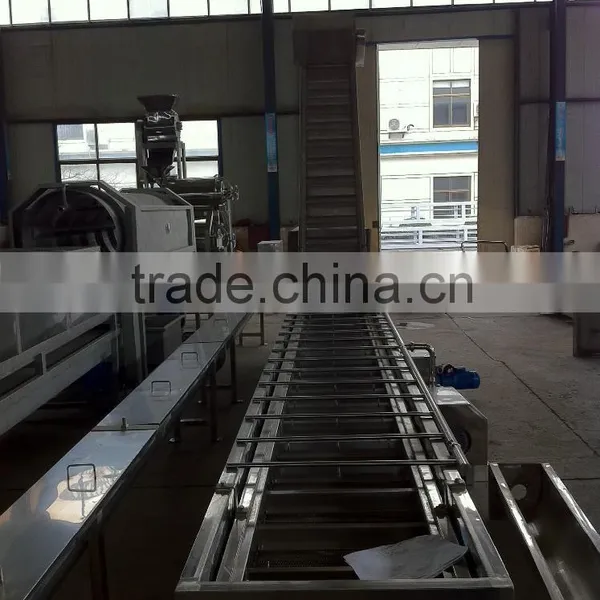 5 Ton LXJ-5 Model Showering (water Bath) Type Berry Fruit Cleaner(Industrial Berry Fruits Washer) photo-2