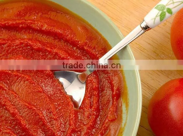 2016 New Sauce Canned Tomato Paste photo-4