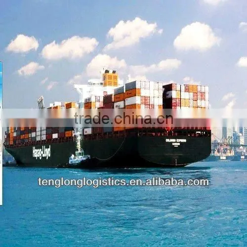 Best Shipping Agent Offer Seafreight Airfreight to Sokhna of Egypt From China Shenzhen Guangzhou Shanghai