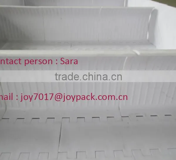 Modular Conveyor for Potato Chips photo-3