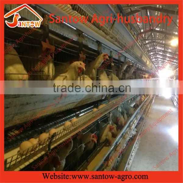 Stable Steel Structure Chicken Egg Layer Cage Broiler Breeder Farm photo-6