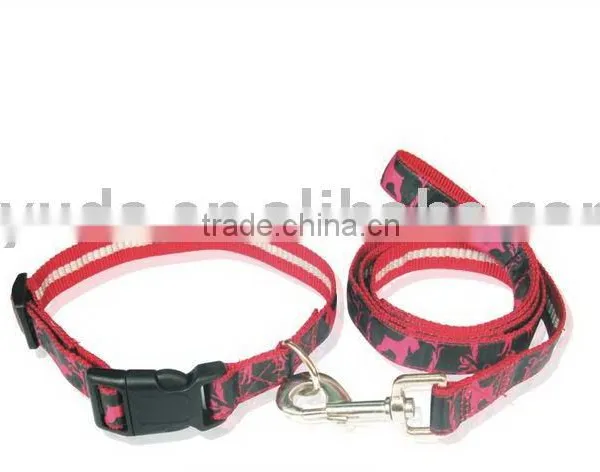 Pet Leash & Collars
