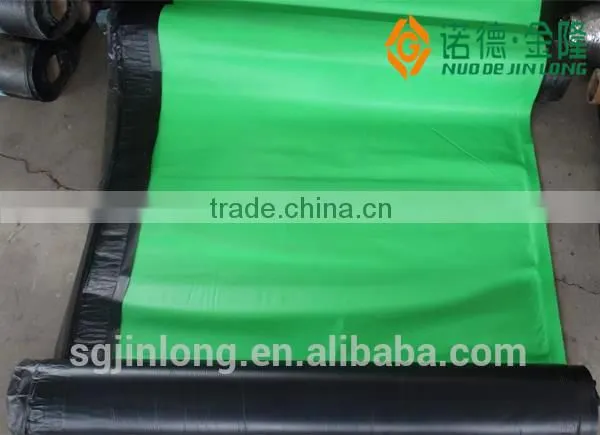 HDPE Geomembrane for Waterproof Material