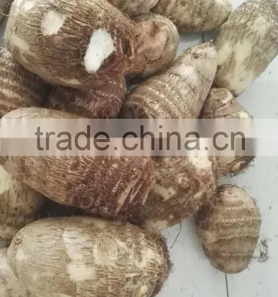 Rice Reaper Taro