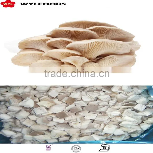 Wholesale Price Frozen Oyster Mushroom