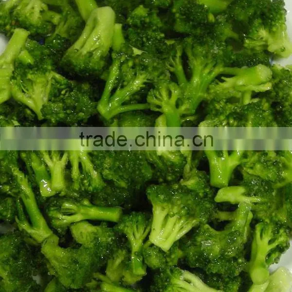 China Wholesale Broccoli, Broccoli Powder,Dried Broccoli Best Selling Products in Europe photo-4