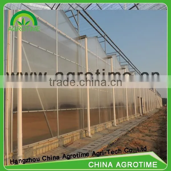 Venlo Greenhouse PC Sheet Glass Covering Hot Sale Greenhouse/glass Greenhouse photo-3
