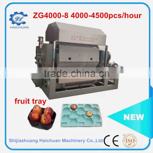 Civil Drying Way and Steel Drying Way Egg Tray Machine photo-3
