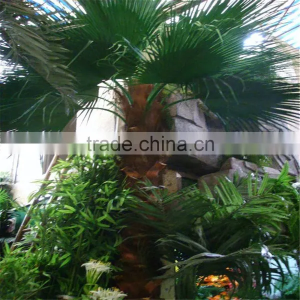 SJ2017200010 Hot Sale Fake Plastic Washington Palm Tree for Outdoor photo-2