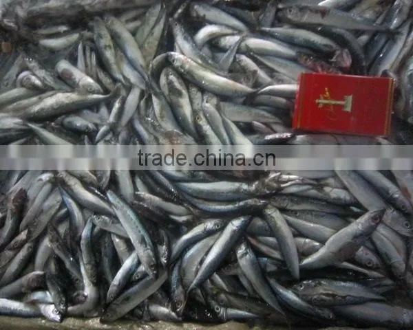 Bait for Feeding