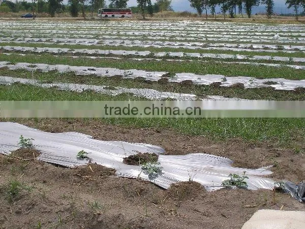 Black and Silver PE Biodegradable Mulch Film for Agriculture Greenhouse photo-3