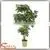 Factory Hot Sale Green Artificial Money Tree Make Cheap Outdoor Large Money Tree photo-3