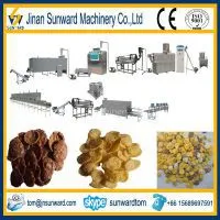 On Hot Sale Corn Chips Food Machine From China