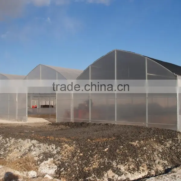 Commercial Multi Span Vegetable & Flower Greenhouse photo-3