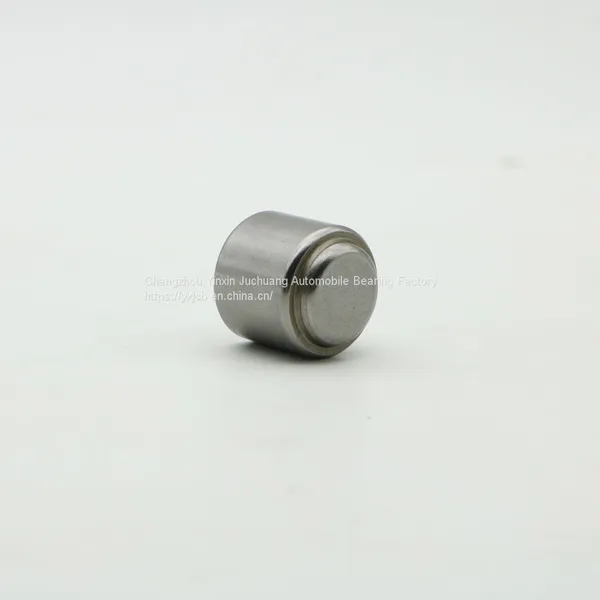 Needle Roller Bearing F-220469/NB110 photo-2