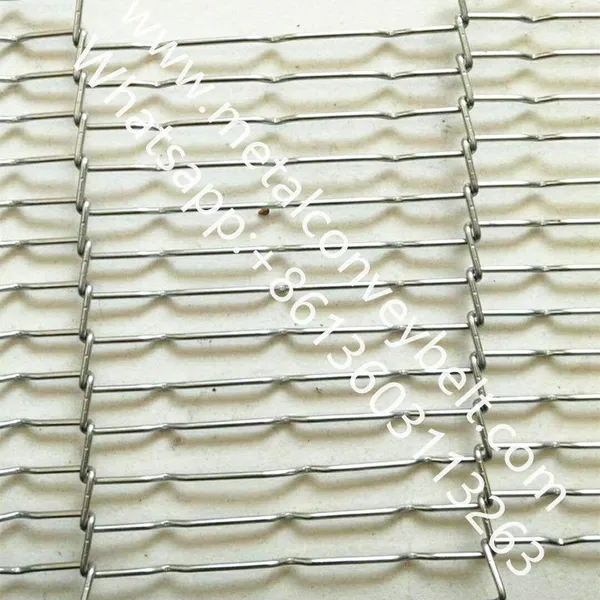 High Quality Food Grade Stainless Steel Ladder Conveyor Belt photo-3