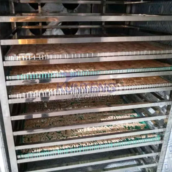 Industrial Electric Fish Dryer Food Dryer Meat Dried Fish Machine Fish Drying Machine photo-5