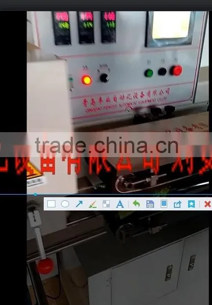 Pillow Packing Machine With Three Servo Motors photo-2