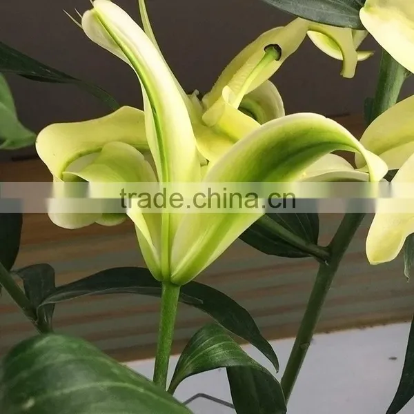 Fashion Yellow King Lilies Flower photo-4