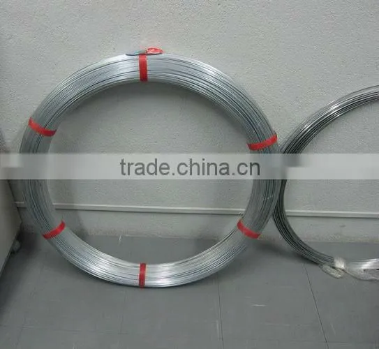 Good Quality Hot Dipped Galvanized Oval Steel Wire for Cattle Farm photo-2
