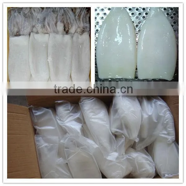 (squid Tube Squid Wings) Frozen Illex Squid photo-3