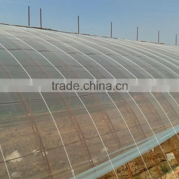 High Quality Plastic Greenhouse Film With Different Specification photo-3