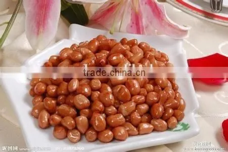 Peanut Frying Machine/frying Machine for Fries photo-2
