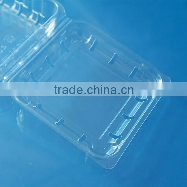 Blueberry Plastic Punnet Disposable Fruit Container Quality Choice photo-3