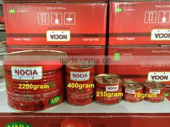 China Hot Sell Canned Tomato Paste 70g*100tins,food Tin Can Making Machine photo-2