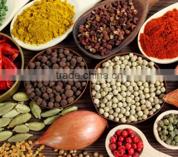 High Quality Indian Spices photo-2