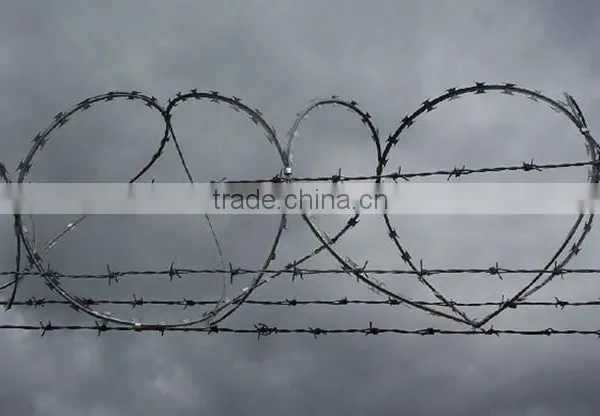 Anping Galvanized Barbed Wire for Sale Price From China photo-2