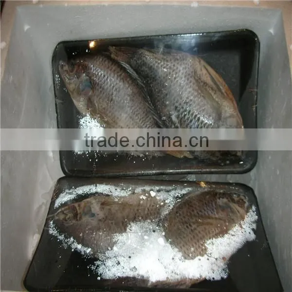 Pillow Type Frozen Seafood, Fish Shrink Packaging Machine photo-3