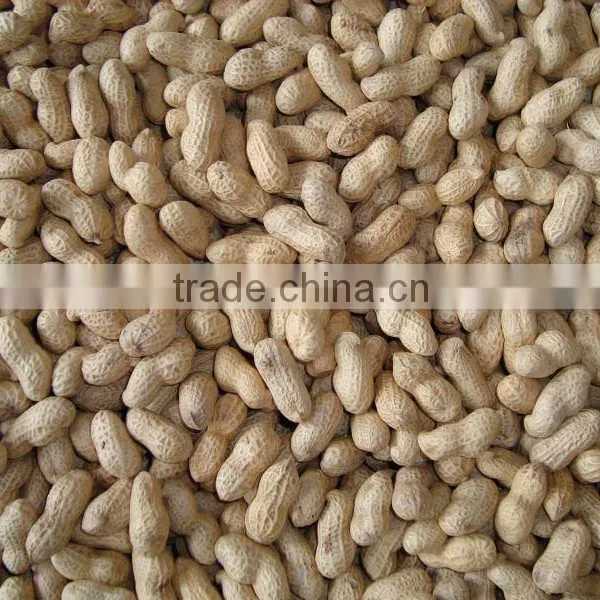 Peanut Producer Peanut in Shell 2012 Crop
