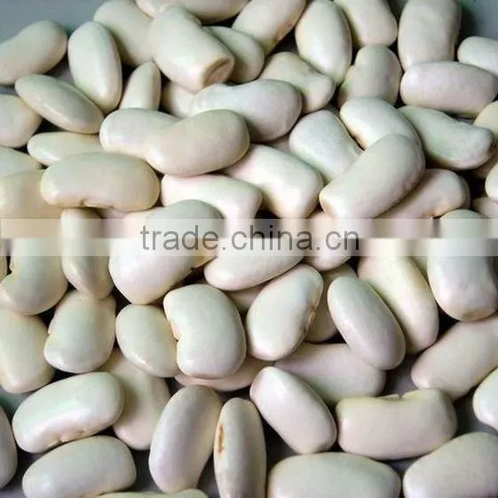 Big Size White Beans White Haricot Beans photo-6